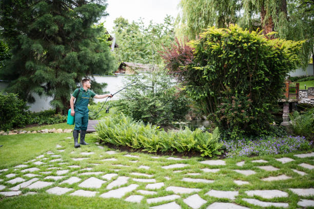 Best Pest Control Near Me  in South Wallins, KY
