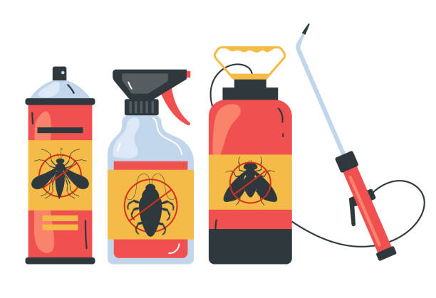 Best Ant Control Services  in South Wallins, KY